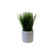 Grass With Grey Ceramic Pot Small