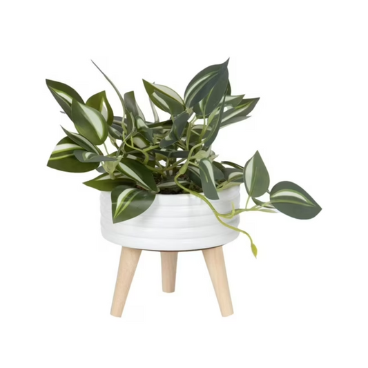 Whisper Faux Succulent Plant w/Tripod Stand