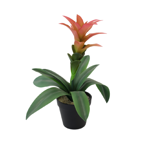 Pink Bromelia Flower w/Pot