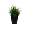 Small Grass Plant w/ Black Pot