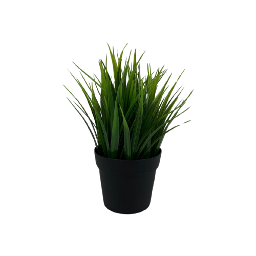 Small Grass Plant w/ Black Pot