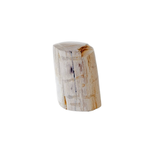 Faux Concrete Small Marble Log