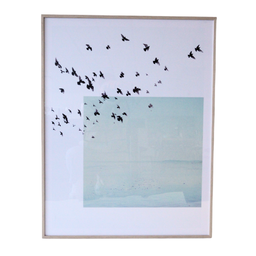Art - Cleared Flight of Birds (Framed) // Section 30