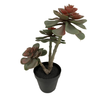 3 Tiered Succulent