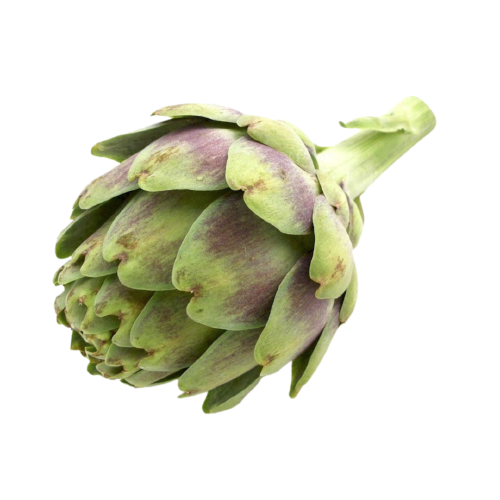Fruit - Artichoke