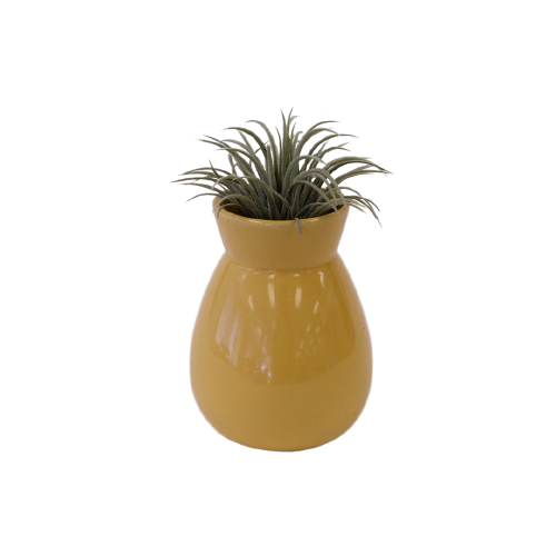 Round Yellow Pot Vase
