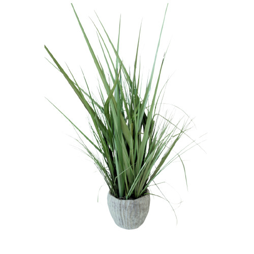 Large Grass Plant w/Ceramic Pot