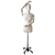 Female Mannequin with Metal Rolling Base