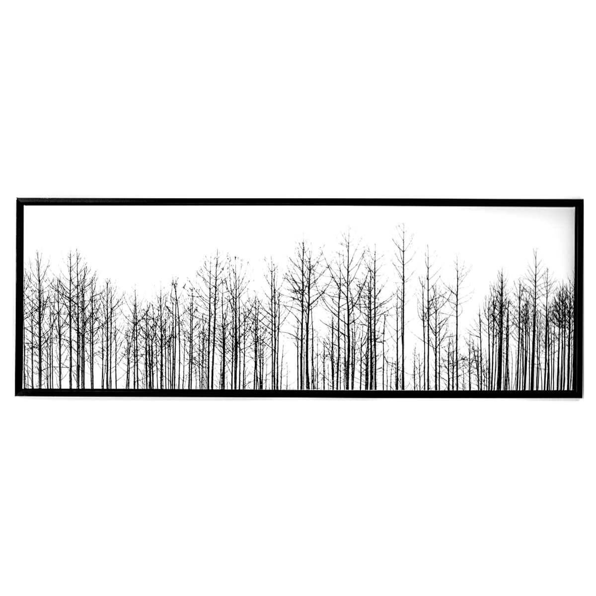 CLEARED Black & White Treeline Large