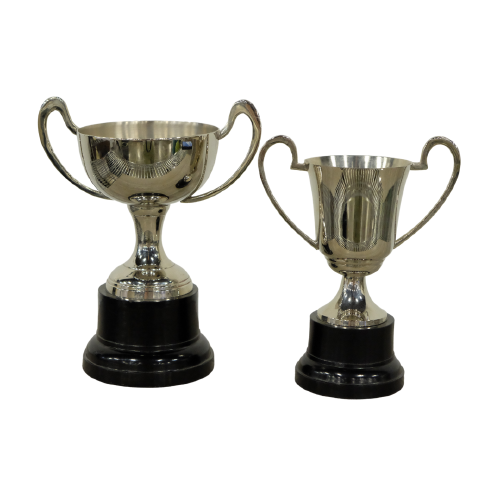 Small Silver Trophy Cup