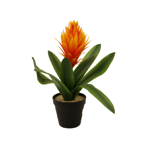 Orange Bromelia Flower w/Pot
