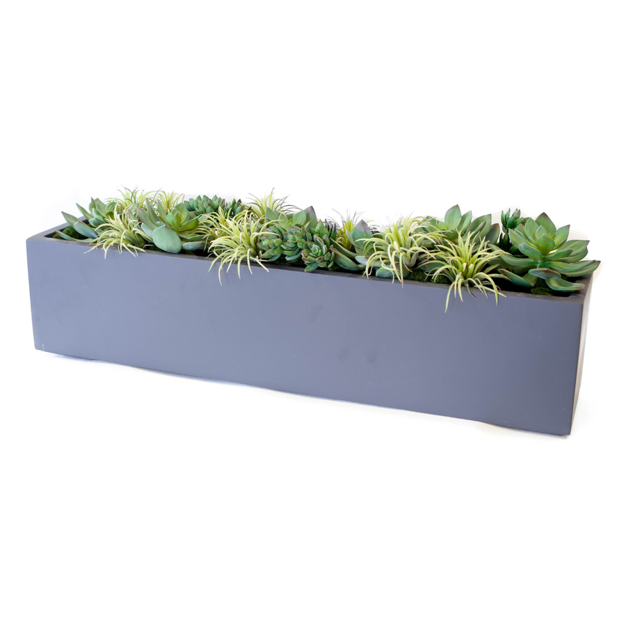 Grey Rectangular with Succulents Planter