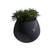 Hanging Round Dark Grey Pot