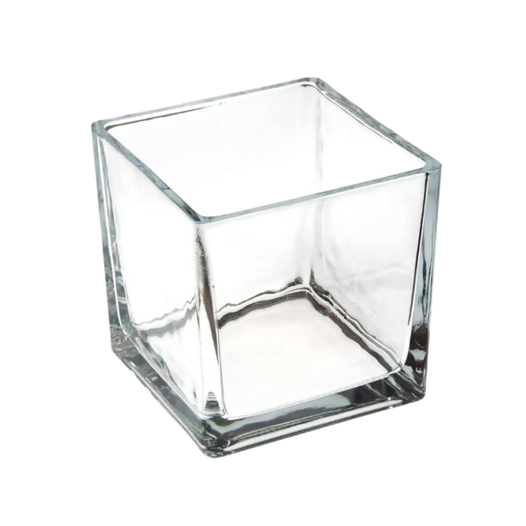 Simple Clear Glass Square Cube Vase