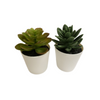 Mini Succulent Plastic Pot