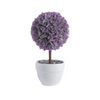 Small Lavender Tree Cement Pot