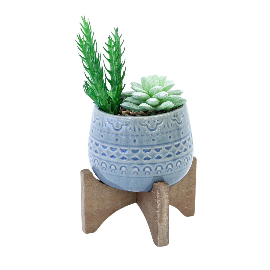 Succulents in Blue Pot