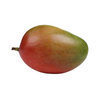 Mango Fruit