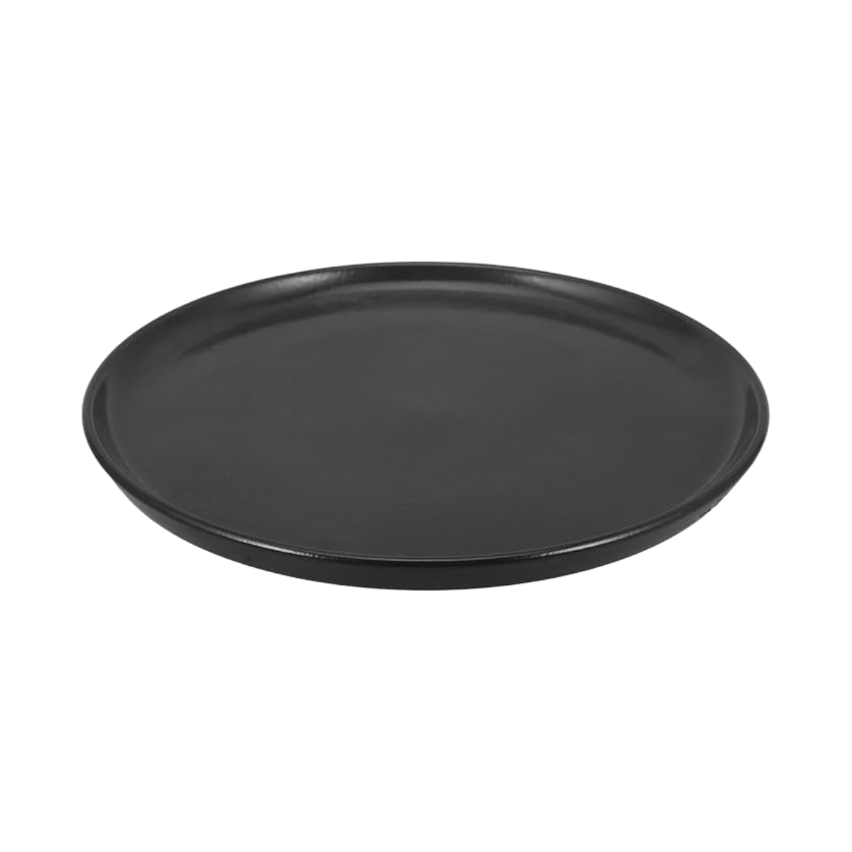 Round Black Dinner Plate