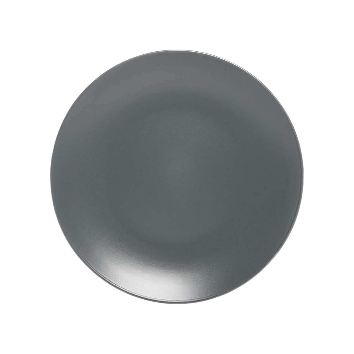 Grey Blue Dinner Plate