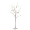White LED Lights Birch Trees