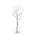 White LED Lights Birch Trees