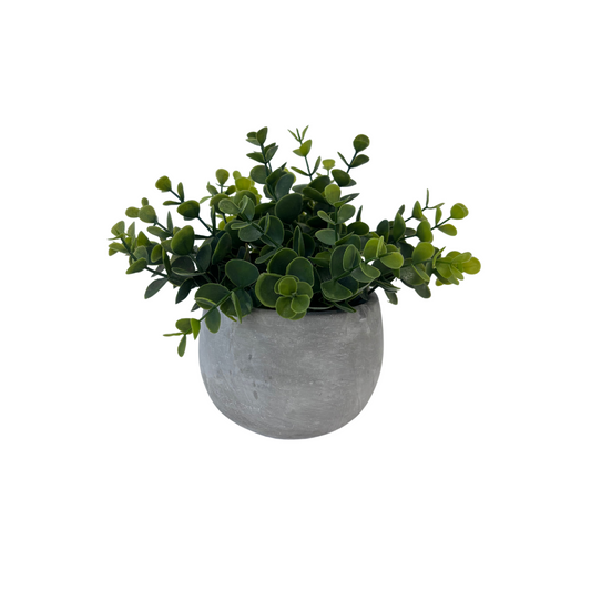 Jessie Faux Eucalyptus with Concrete Pot