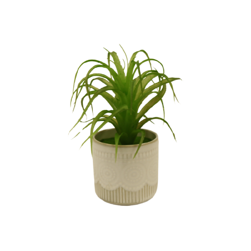 Small Palm Plant w/White Patterned Pot