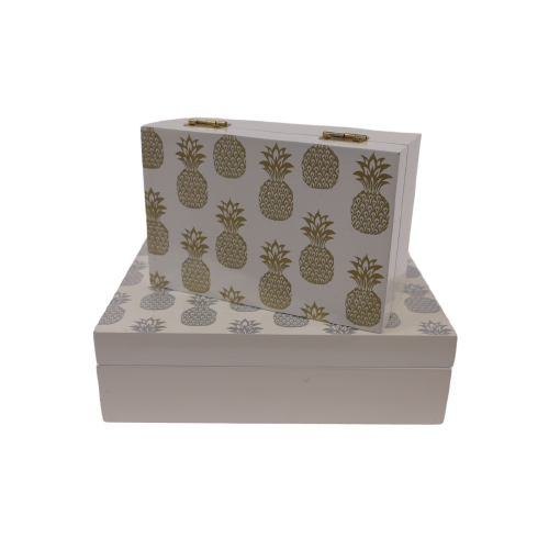 Box - White with Pineapple print Large