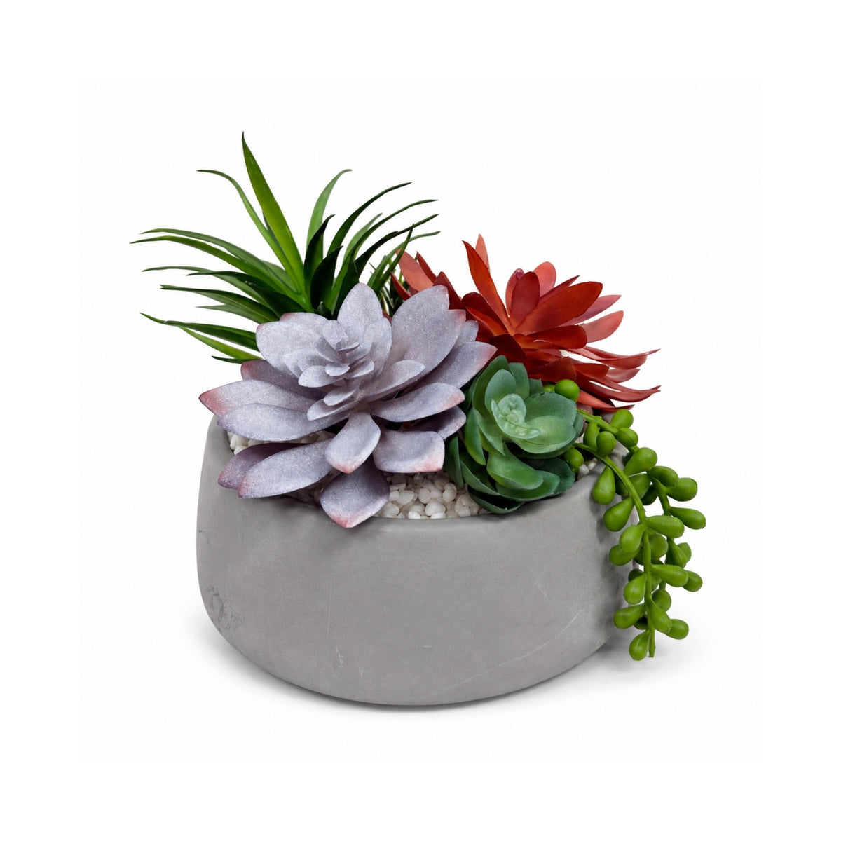 Mixed Succulent Gray Plant with Clay Pot
