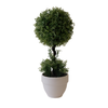 Topiary w/ White Pot