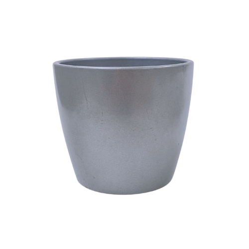 Silver Pot