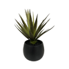 Small Aloe Black Round Pot