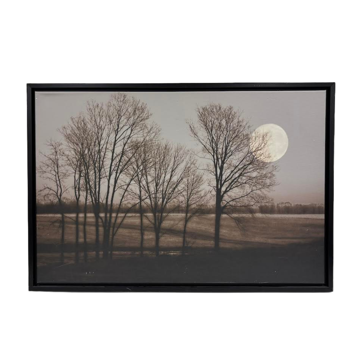 November Moon CLEARED Art // Section 50