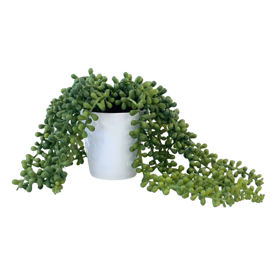 Faux Succulent Trailing Plant White Ceramic Pot