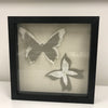 Art - Butterfly Dark Wood Frame - Small - CLEARED 10" X 10"