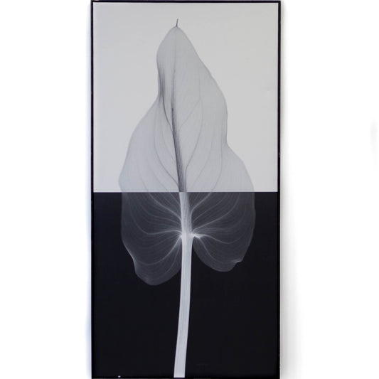 Art - Meyers Calla II Large 23" X 55" CLEARED