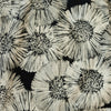 12x16 - Black & White Dandelion
