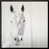 Art - Sage Horse Grey Medium 36" X 36" CLEARED