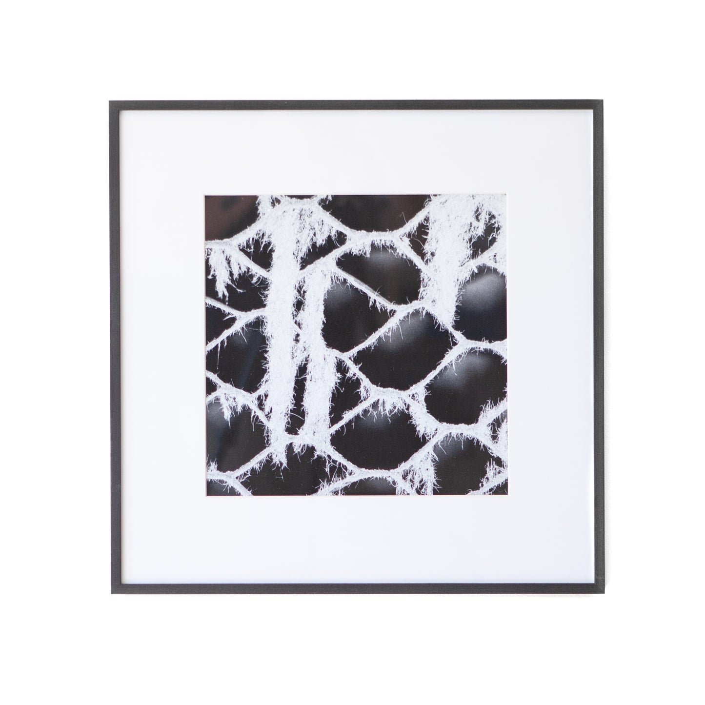Art - B&W Cardboard Web - Small - CLEARED 24" X 24"