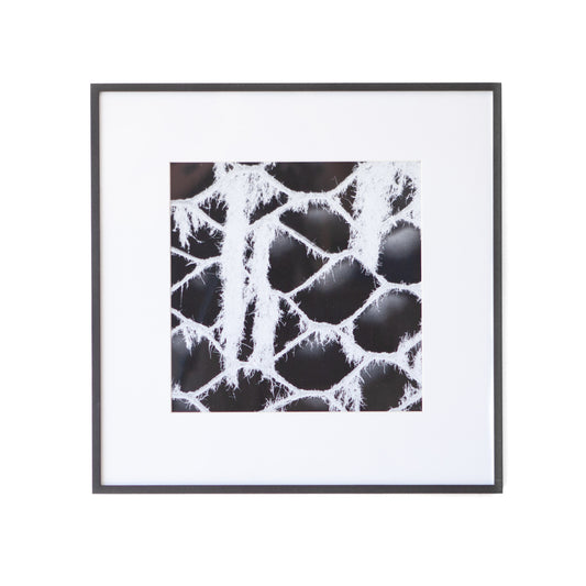 Art - B&W Cardboard Web - Small - CLEARED 24" X 24"