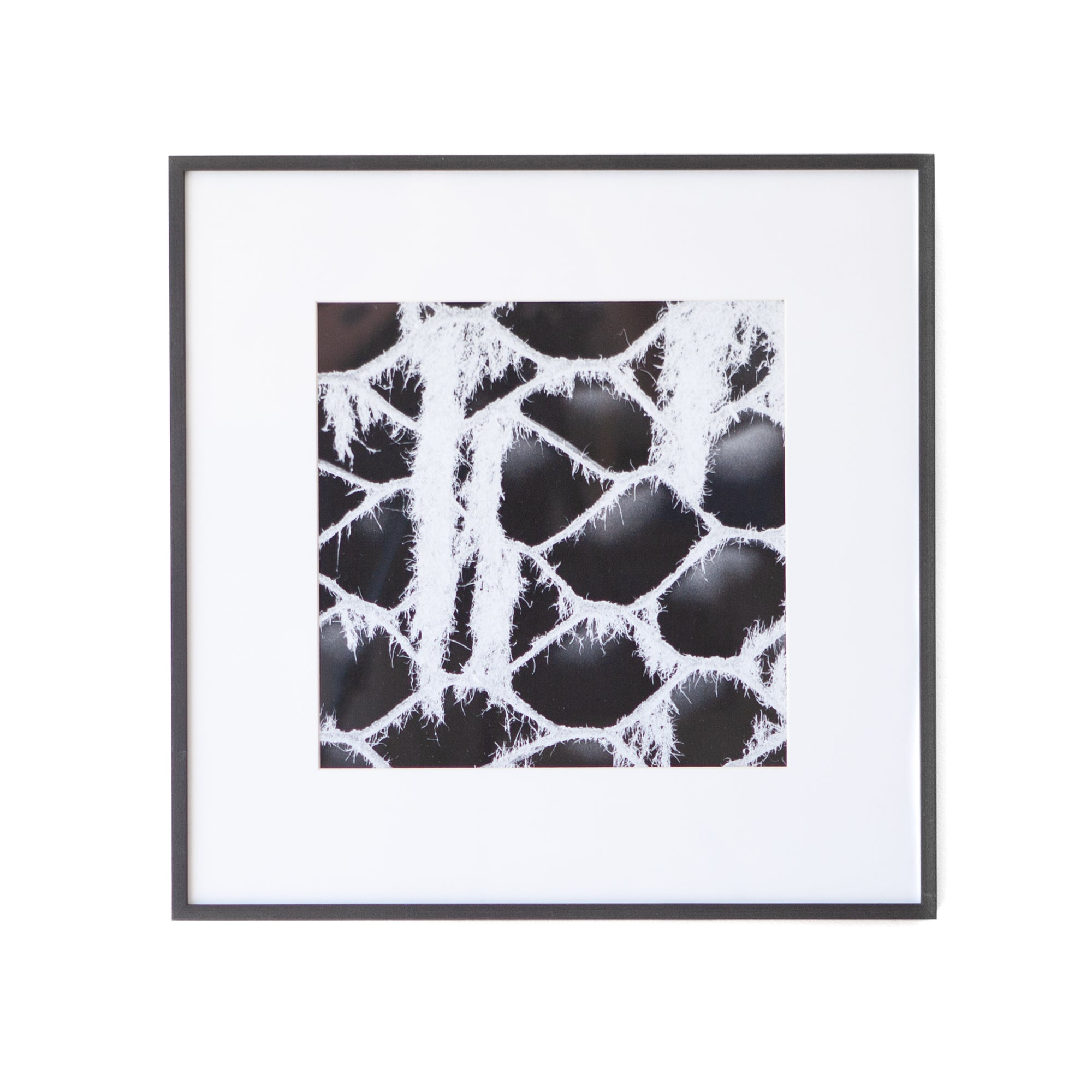 Art - B&W Cardboard Web - Small - CLEARED 24" X 24"