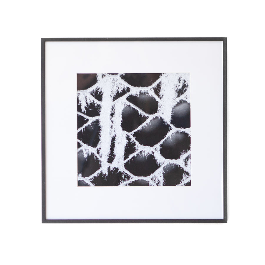 Art - B&W Cardboard Web - Small - CLEARED 24" X 24"