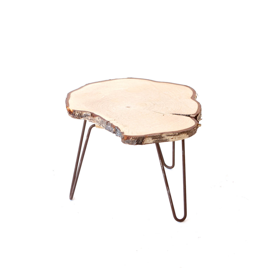 End Table - Raw 14" Cross Cut Wood w Hairpin Leg