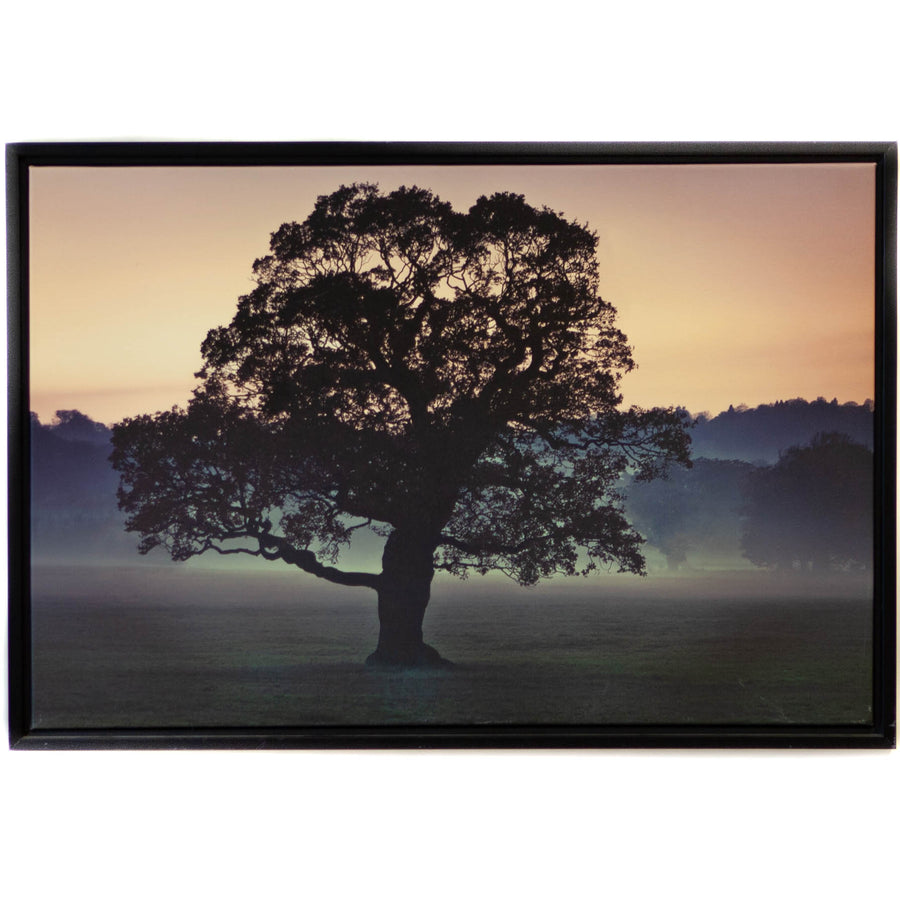 Art - Evening Wisdom Medium 24" X 36" CLEARED