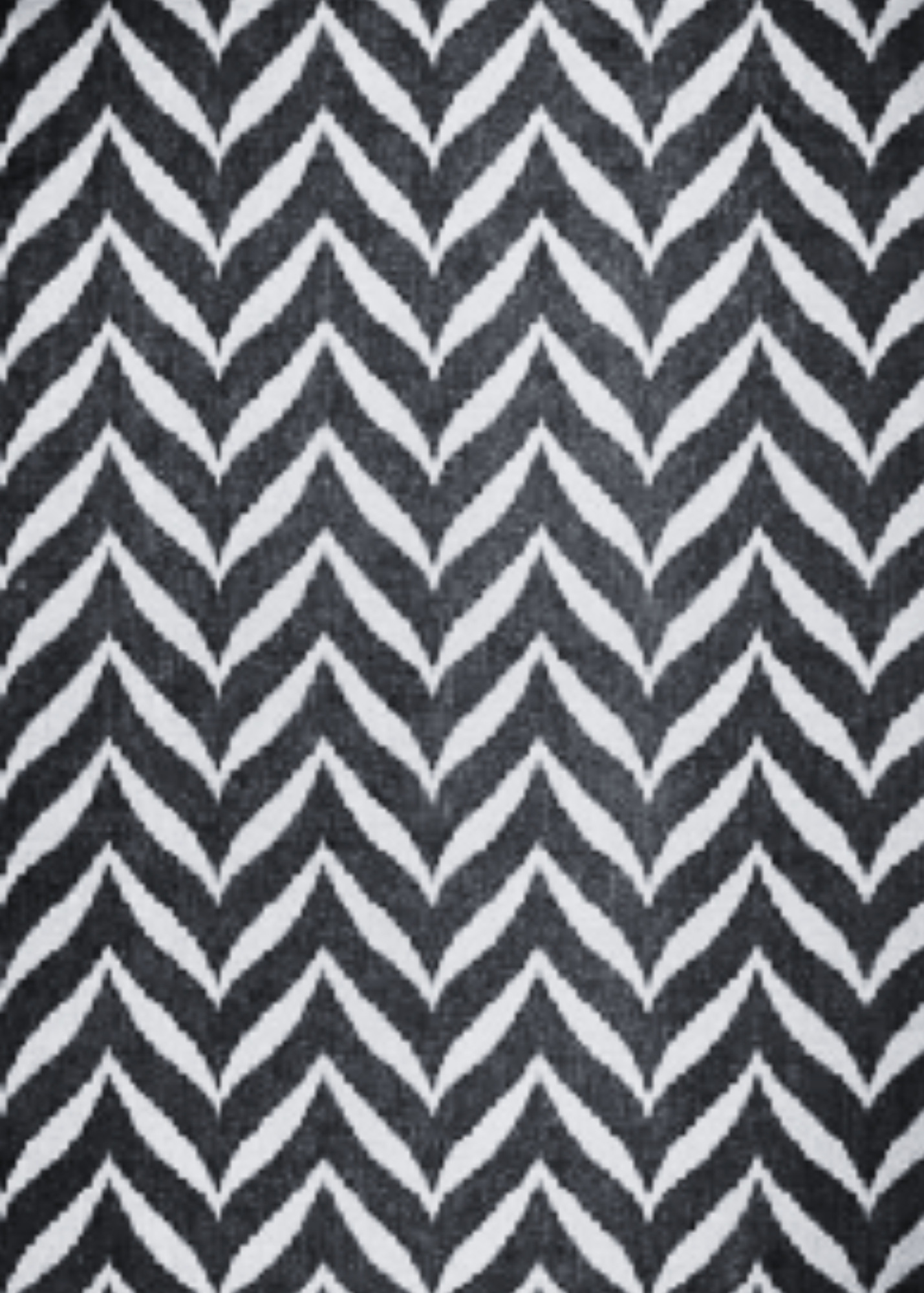 OUTDOOR / Indoor Black & White Rug