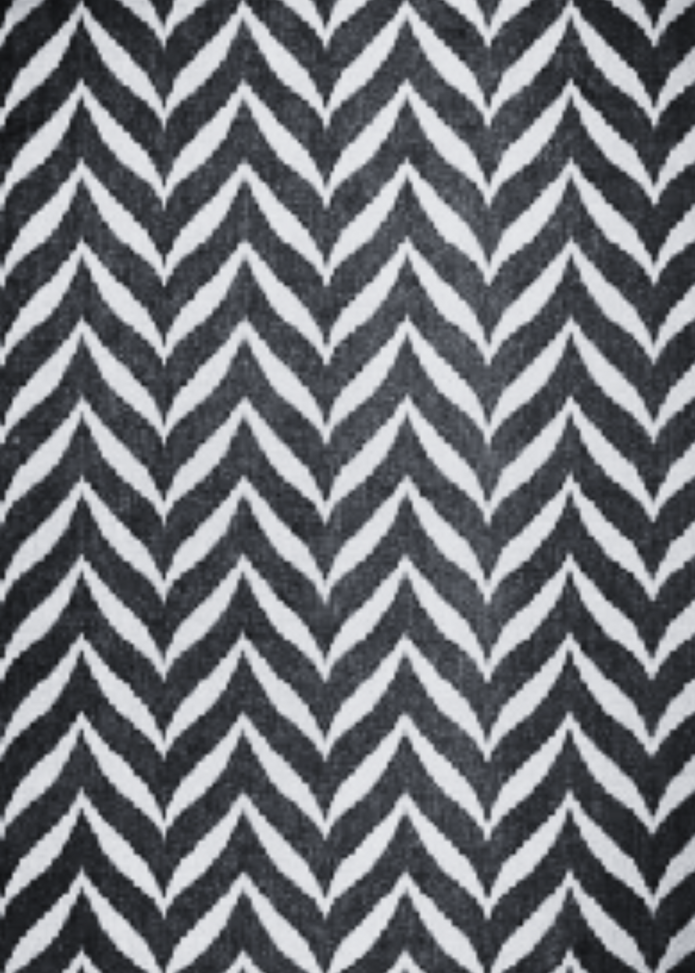 OUTDOOR / Indoor Black & White Rug
