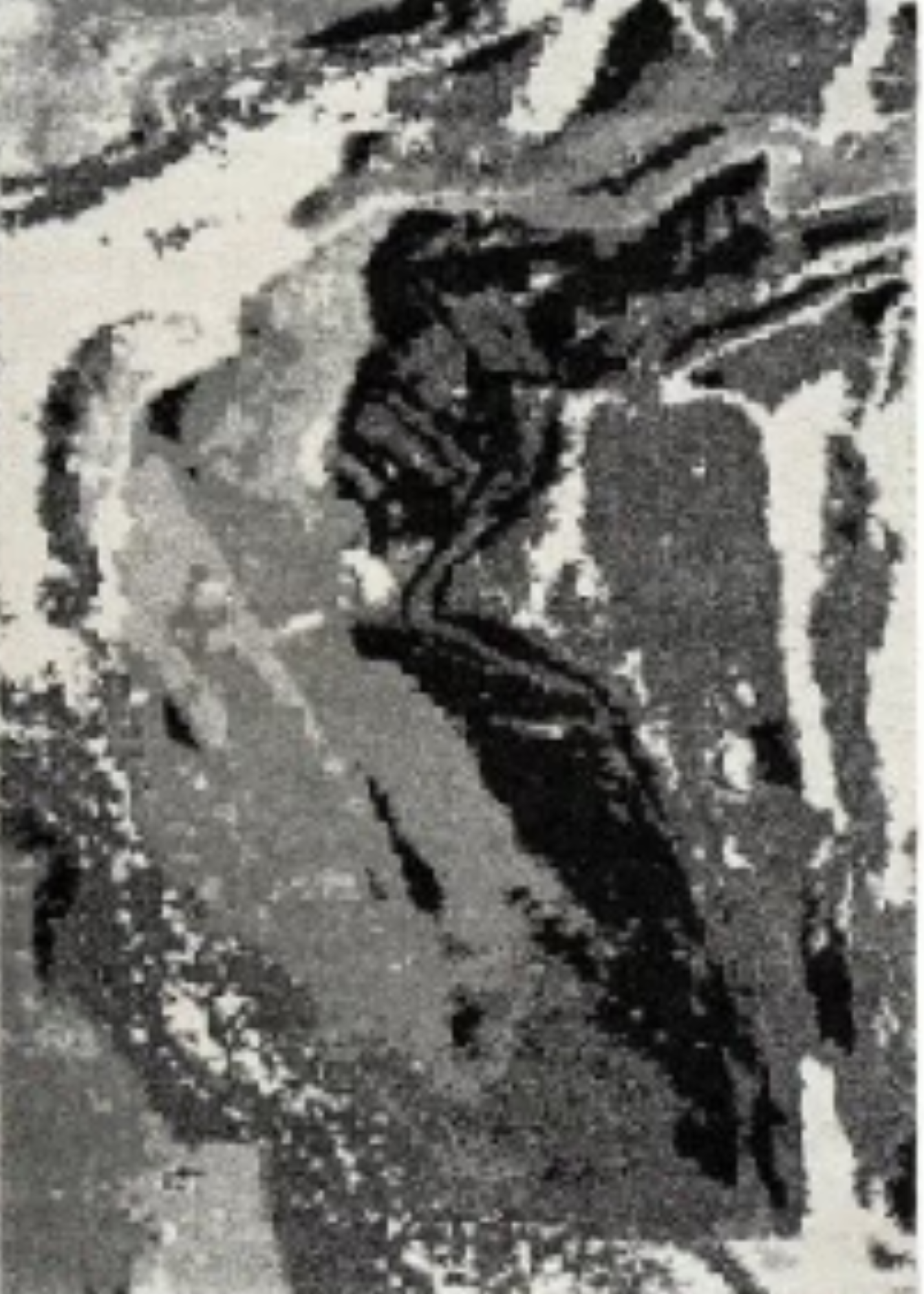 Marbled Rug in Black, Grey and White