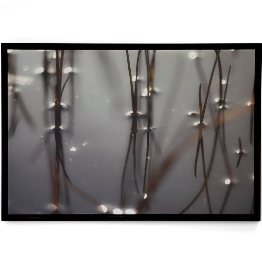 Art - Still Waters Medium 37" X 25" CLEARED