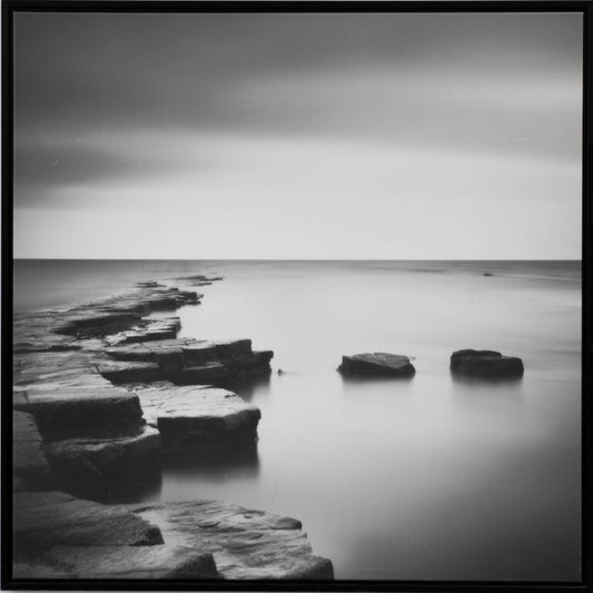 Coastal Calm - Cleared - 44 x 44